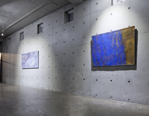 오픈스페이스배 〈이종교배〉