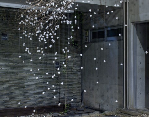 오픈스페이스배 〈이종교배〉