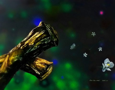 최의열 〈초록동, 초록〉 최의열 〈초록동, 초록〉