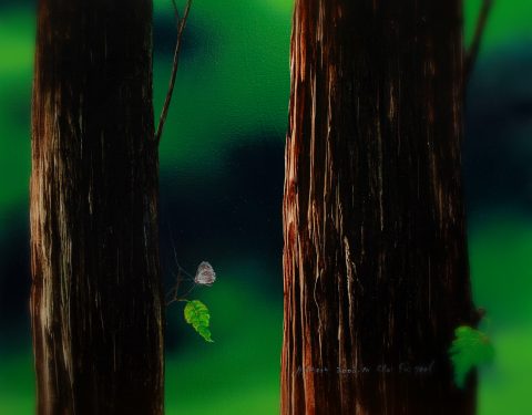 최의열 〈초록동, 초록〉 최의열 〈초록동, 초록〉